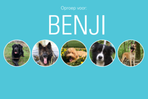 Winnaar entoproepkaartje