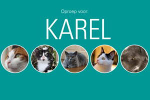Winnaar entoproepkaartje
