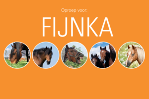 Winnaar entoproepkaartje