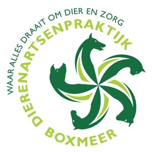 Lynn van de Water
